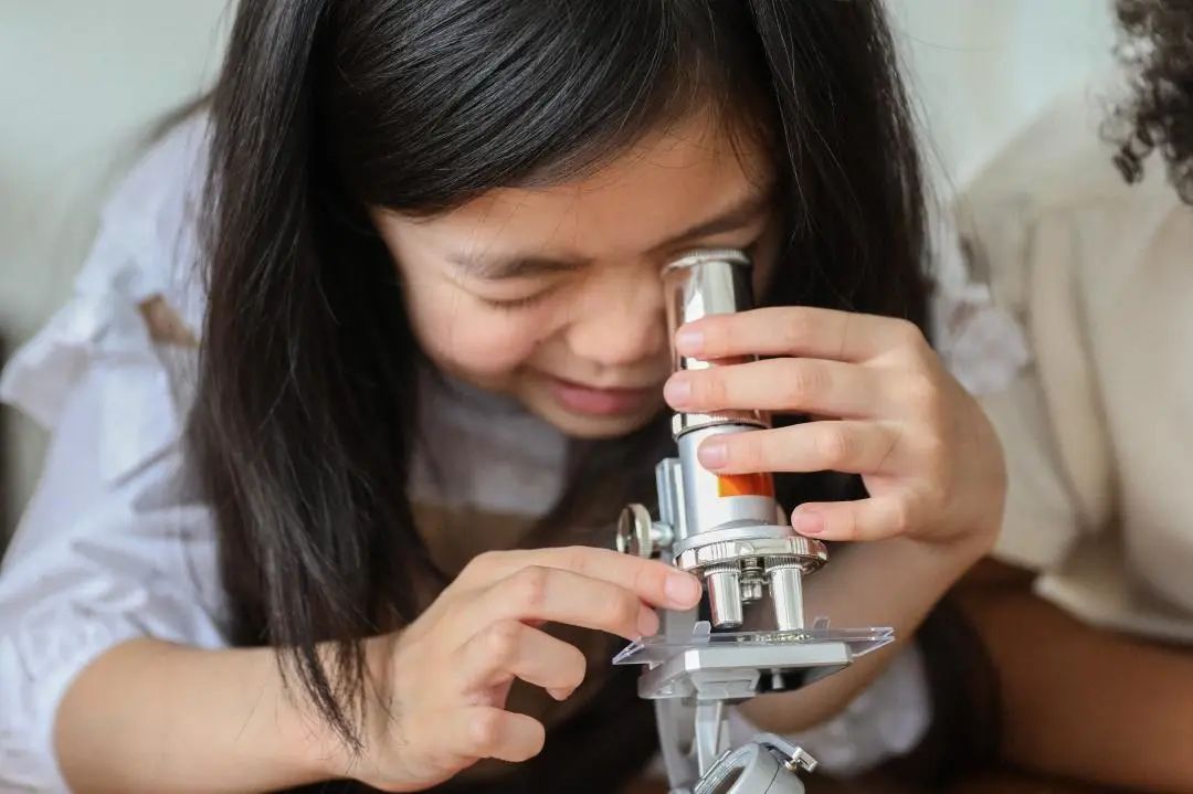 人工智能在教育领域的个性化学习和辅助教育是什么？